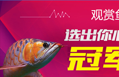 龙巅商城